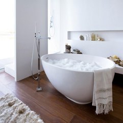 A Brilliant Concept Bathtub Furnitures - Karbonix