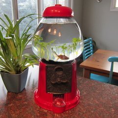 A Brilliant Idea Unique Fish Tanks - Karbonix