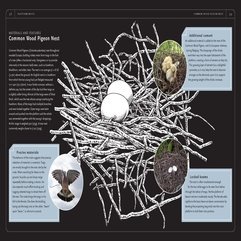 Best-inspirations : A Charm Of Finches Book Review Avian Architecture ~ Karbonix