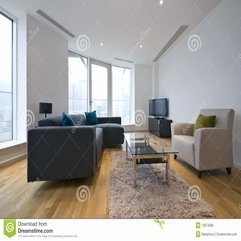 Adorable Modern Living Room Penthouse Apartment Ordinary Modern - Karbonix