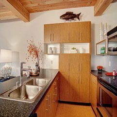 Alluring Decors Interior Modern Kitchen - Karbonix