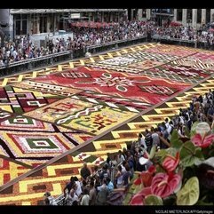 Best Inspirations : Amazing Over Half A Million Flowers Make Stunning Carpet - Karbonix