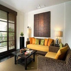 Apartment Living Rooms With Unique Sofa Decorating Ideas - Karbonix