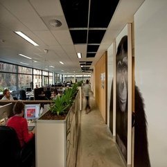 Ape Wallpaper As Boundary Wall With Potted Plants As A Barrier Desk Looks Cool - Karbonix