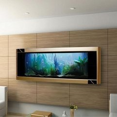 Aquarium Decoration Ideas Pictures Expensive Wall - Karbonix