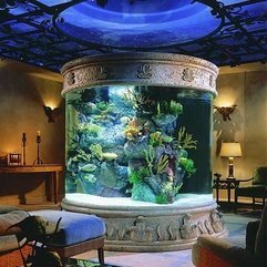 Aquarium Decoration Ideas Pictures Great Tube - Karbonix