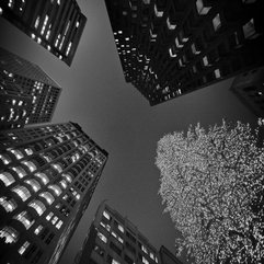 Architecture Black And White San Francisco Christmas Wallpapers HD Wallpaper - Karbonix