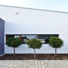 Architecture Fancy Triple Small Tree On The Gravels M House - Karbonix