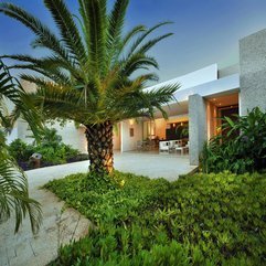 Architecture Residence Courtyard Completed With Green Plants - Karbonix