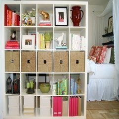 Best Inspirations : Artistic Designing Under Stair Storage Shelves - Karbonix