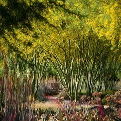 Best Inspirations : ASLA 2012 Professional Awards Sunnylands Center Amp Gardens - Karbonix