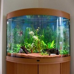Attractive Aquarium - Karbonix