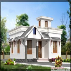 Attractive Modern Single Storey Houses - Karbonix