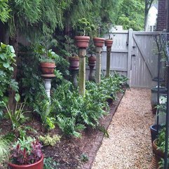 Backyard Landscaping Ideas Bonsai Tree - Karbonix
