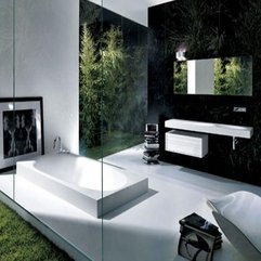 Bathroom Decor Designs Dramatic Modern - Karbonix
