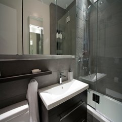 Best Inspirations : Bathroom Renovations Nyc With Bathroom Sink Mirror Cabinet Looks Elegant - Karbonix