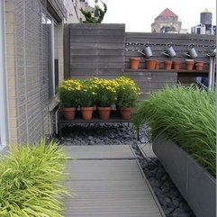 Beautiful Arrangement Rooftop Garden - Karbonix