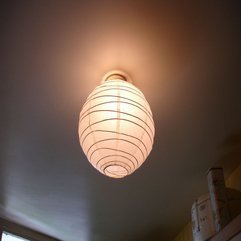 Beautiful Picture Lamp Shades - Karbonix