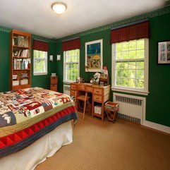 Bedroom Ideas With Bookcase Lime Green - Karbonix