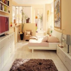 Bedroom Rugs Modern Best Inspiration - Karbonix