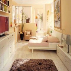 Best Inspirations : Bedroom Rugs Modern Best Inspiration - Karbonix