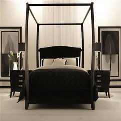 Bedrooms With Canopy Beds Design Ideas Images Charming Bedroom - Karbonix