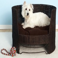 Beds Made Of Rattan With Circular Shape Beautiful Dog - Karbonix