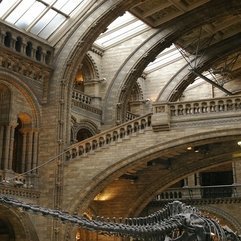 Best Inspirations : British Natural History Museum Pentax User Photo Gallery - Karbonix