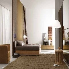 Best Inspirations : Brown Themed Art Deco Modern Bedroom Design With Brown Rug White And - Karbonix