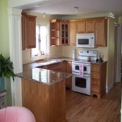 Cabinets In Kitchen With Hardwood Floors Glass - Karbonix