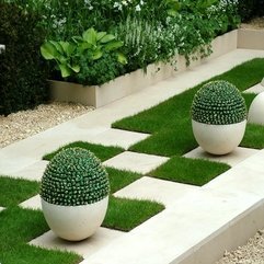 Cactus In Outdoor Garden Interior Design Cute - Karbonix