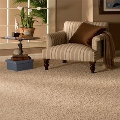 Best Inspirations : Carpet Interior Part 2 - Karbonix