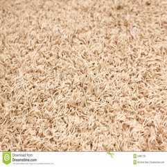 Best Inspirations : Carpet Stock Photos Image 34887733 - Karbonix