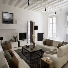 Charming Contemporary Apartment Living Room Designs - Karbonix
