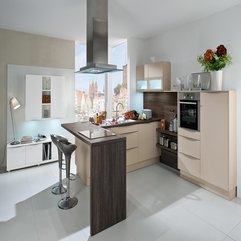 Charming Kitchen Design Idea - Karbonix