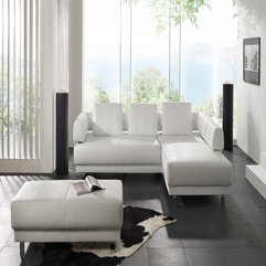 Chic Minimalist Sofas - Karbonix