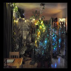 Christmas Indoor Garden - Karbonix