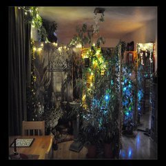 Christmas Indoor Garden - Karbonix