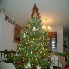 Best Inspirations : Christmas Tree Decorations Ideas Eco Friendly - Karbonix