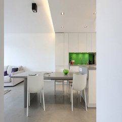 Classic Contemporary Kitchen Design White Apartment Coosyd Interior - Karbonix