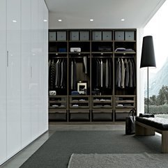 Closet With Ceiling Light Walk In - Karbonix