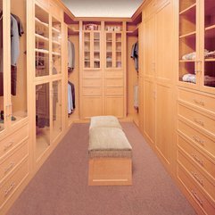 Closet With Wooden Furniture Walk In - Karbonix