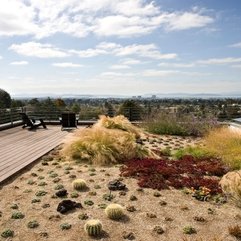 Colorful Plants Balcony Completed Black White Seating Chairs Small Garden - Karbonix