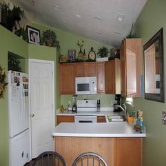 Colors With Oak Cabinets With Ornamental Plants Kitchen Paint - Karbonix