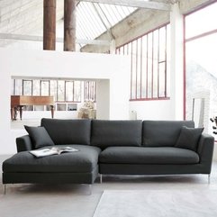 Contemporary Design Living Room Grey - Karbonix