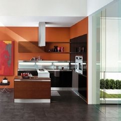 Best Inspirations : Copat Orange Wall Black Brown Cabinets Ideas Orange Kitchen - Karbonix