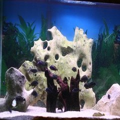 Coral Decoration Ideas Fish Tank - Karbonix