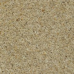 Best Inspirations : Cormar Natural Berber Twist Elite Wool Twist Pile Carpet Mistle - Karbonix