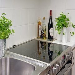 Counter Top With Small Indoor Plant Stainless Steel - Karbonix