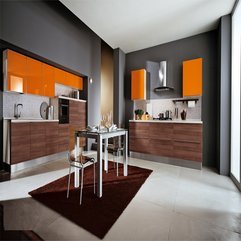 Best Inspirations : Dark Background Ideas Orange Kitchens - Karbonix